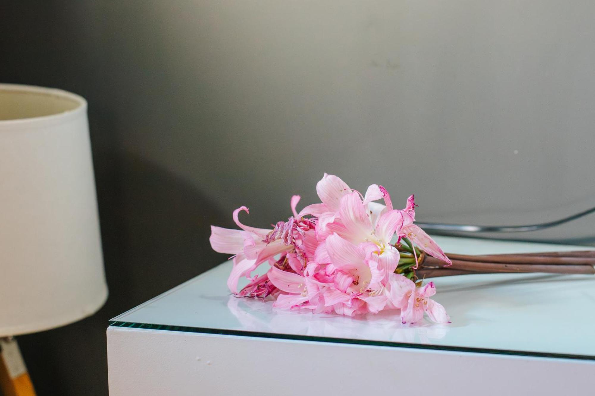 Casa Luis De Camoes - Boutique & Literary House Guest House Santar Bagian luar foto